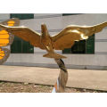 stainless steel golden seagull,outdoor animal sculpture